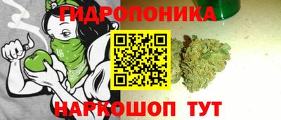 экстази Кингисепп