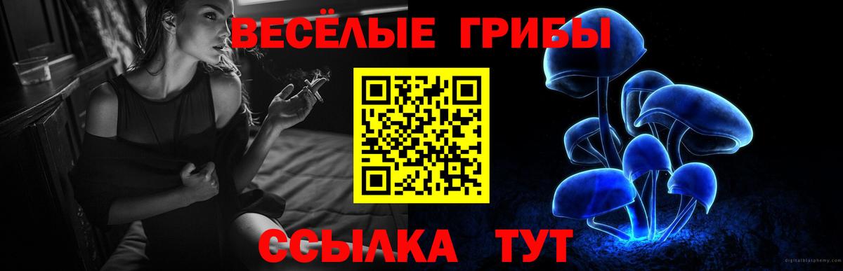 Элиста  Галлюциногенные грибы GOLDEN TEACHER  Вход с VPN 